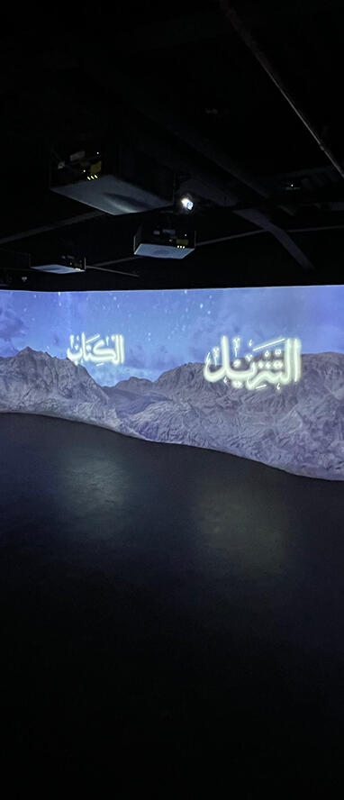 Projection Mapping