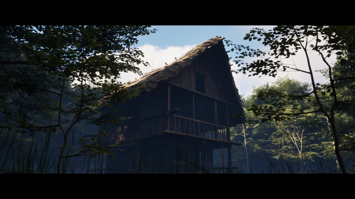 In Woods